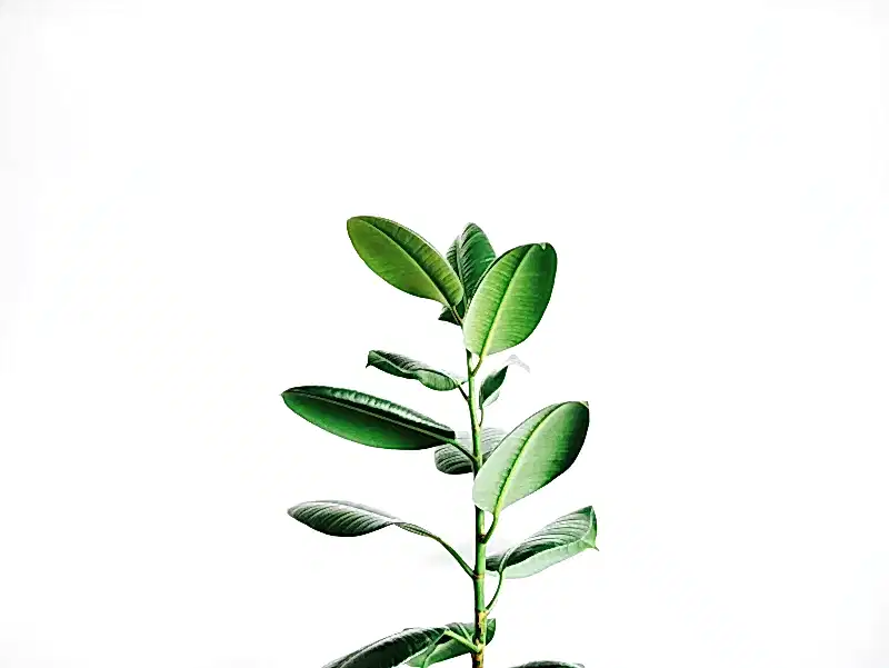 istanbul avukatlık bürosu